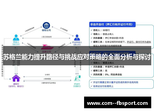 苏格兰能力提升路径与挑战应对策略的全面分析与探讨
